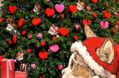 猫の森には帰れない。