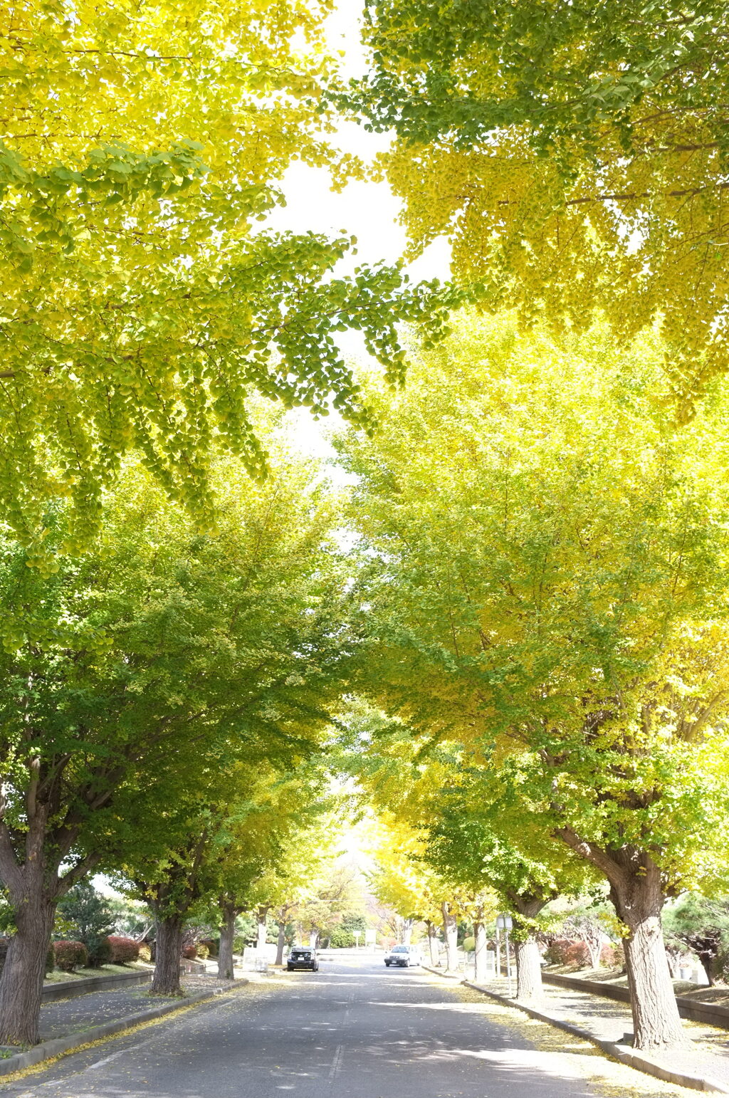 何も足さない、何も引かない。