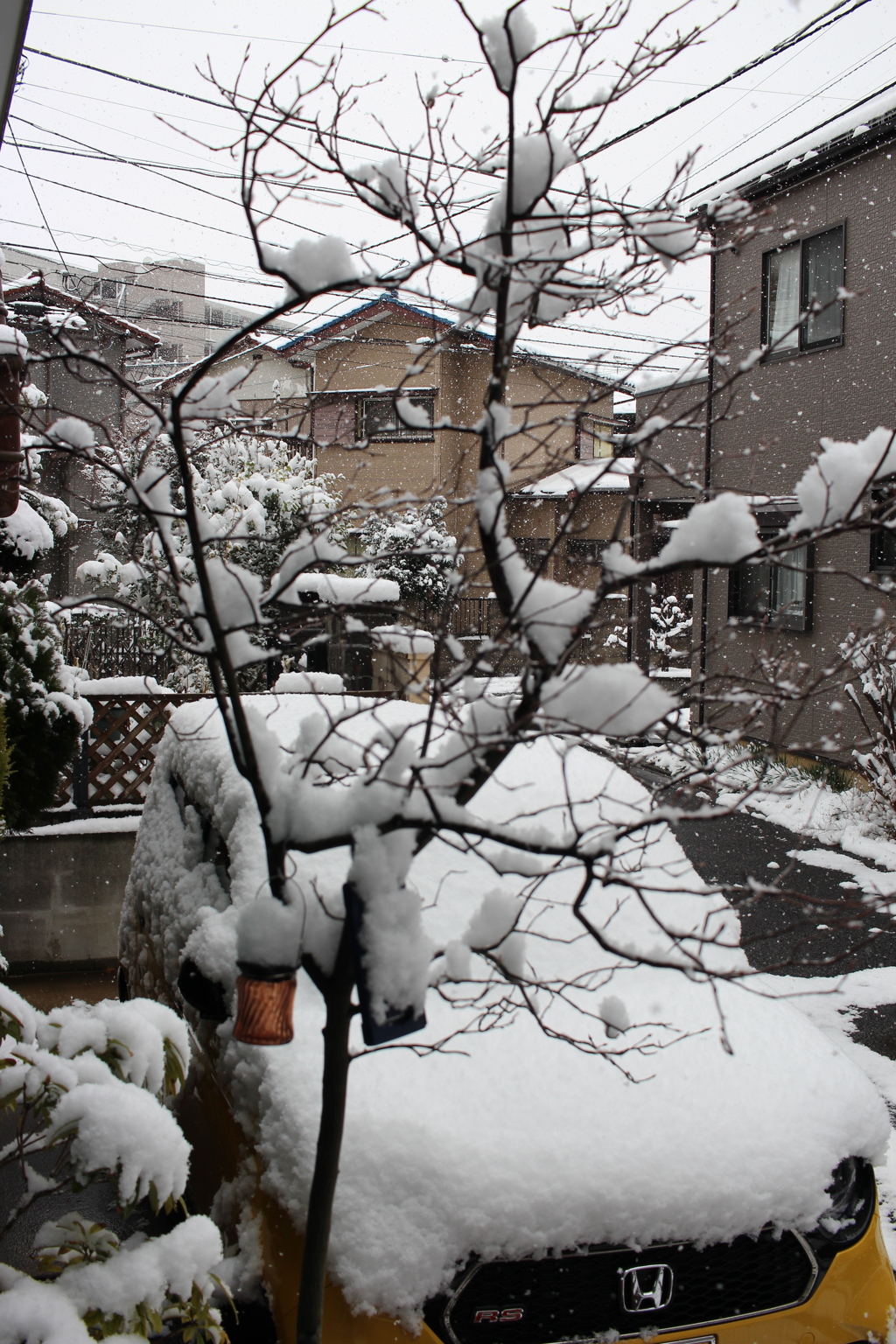 東京の休息日。