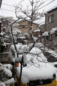 東京の休息日。