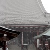 雨宿り。