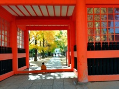 どこでもドア。