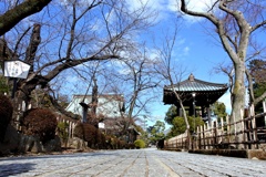 豪徳寺 晴れ。