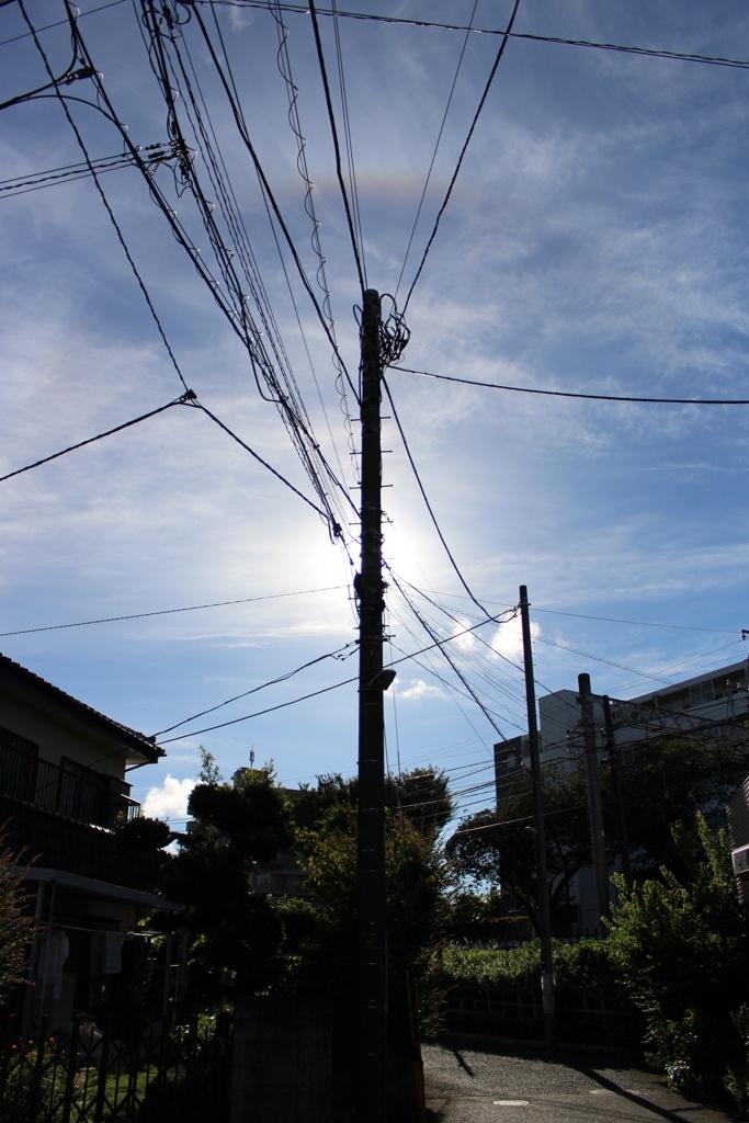 7時12分 今日も暑くなりそうだ。