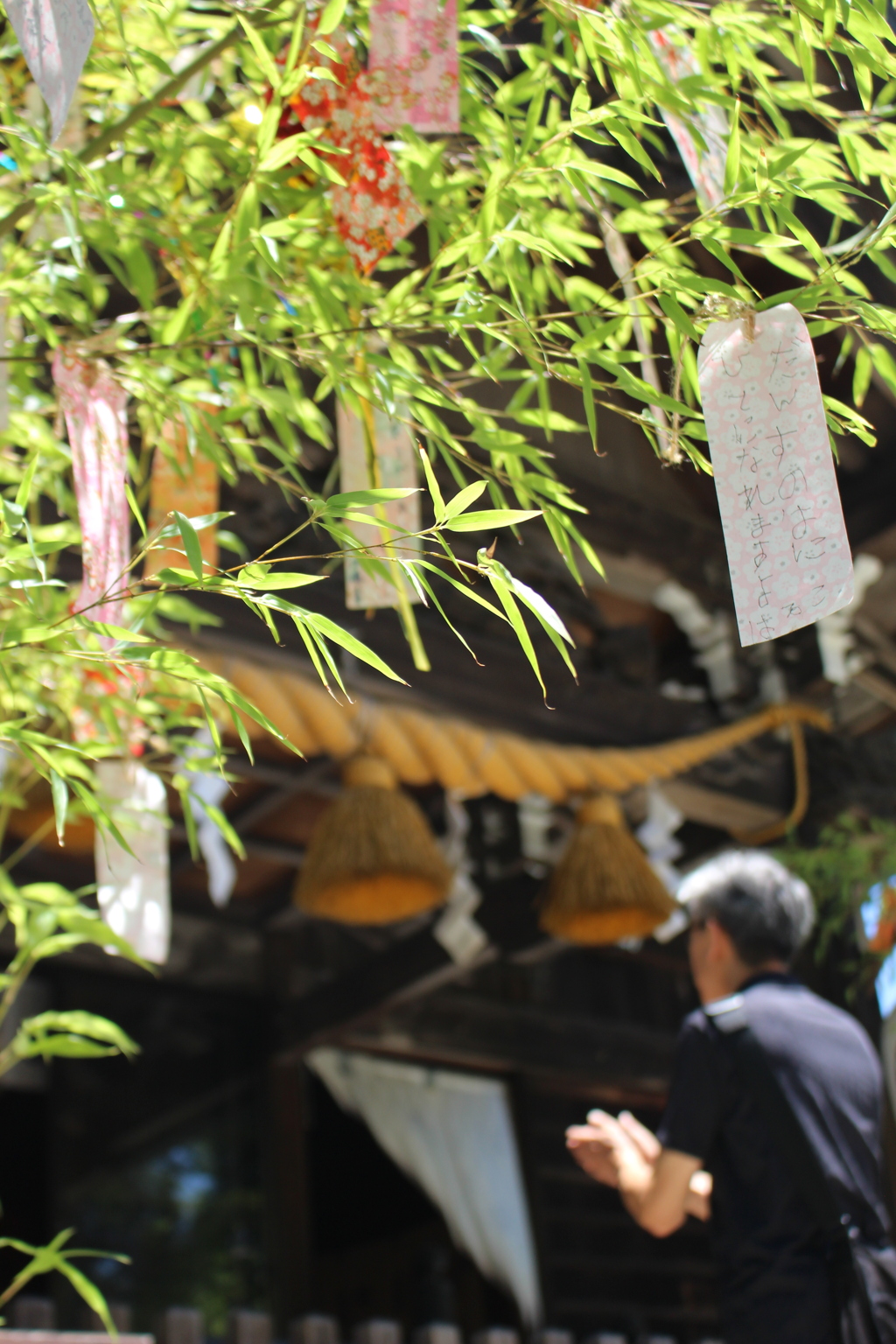 夏詣 菊田神社。