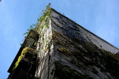 表参道 同潤館アパート。