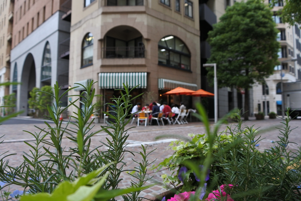 イタリア街 角地のお店でテラスランチ。