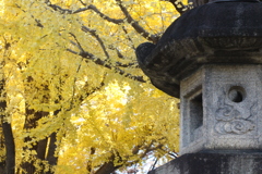 靖国神社 秋。