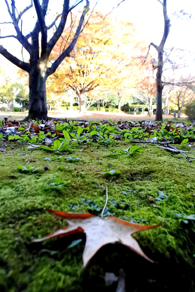 習作 広角レンズの使い方。