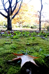 習作 広角レンズの使い方。