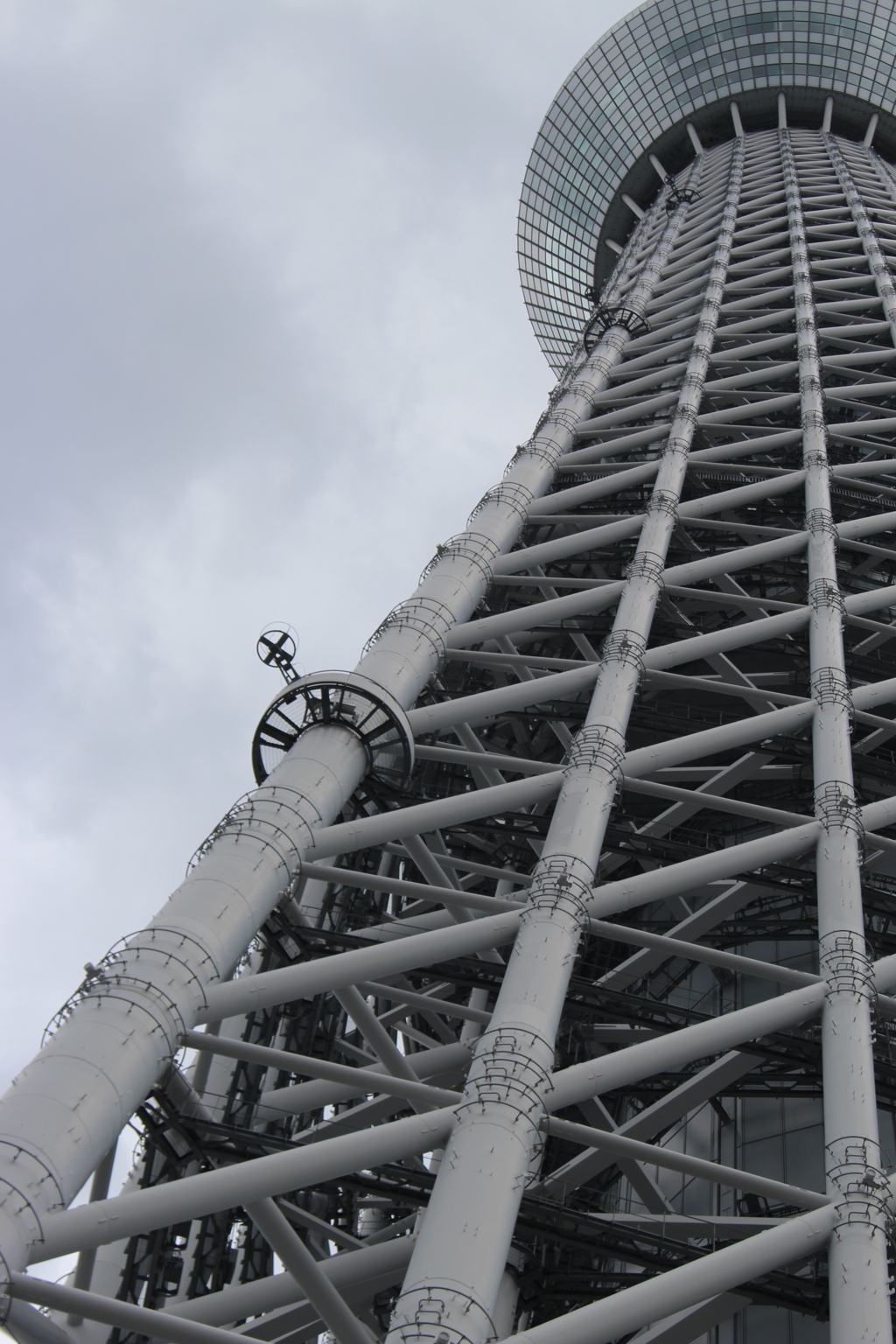 見上げれば、未知との遭遇。