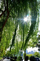 日比谷濠。 日比谷濠。