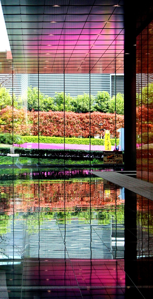 三田の芝桜。