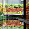 三田の芝桜。
