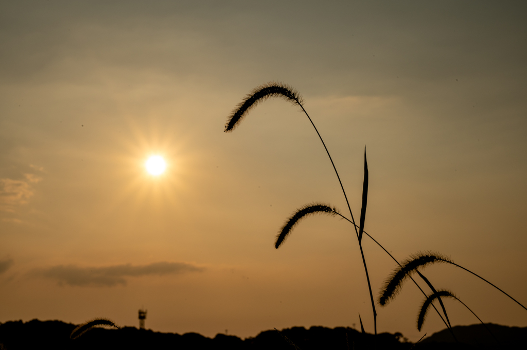 田舎の夕暮れ