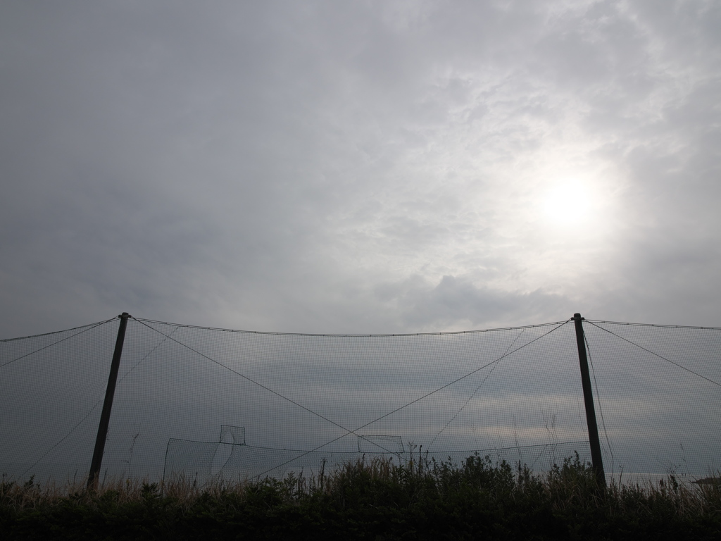 東の空