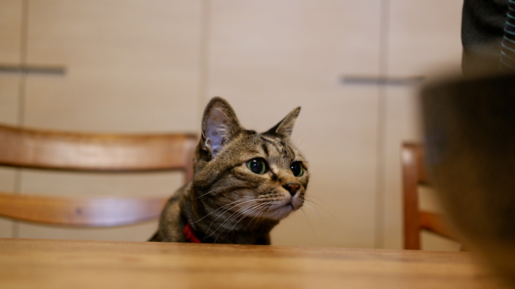 ※つまみ食い注意！