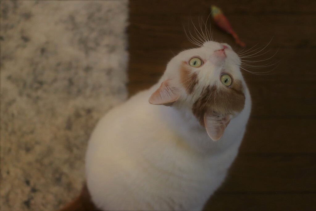 あ・そ・ぼ！②