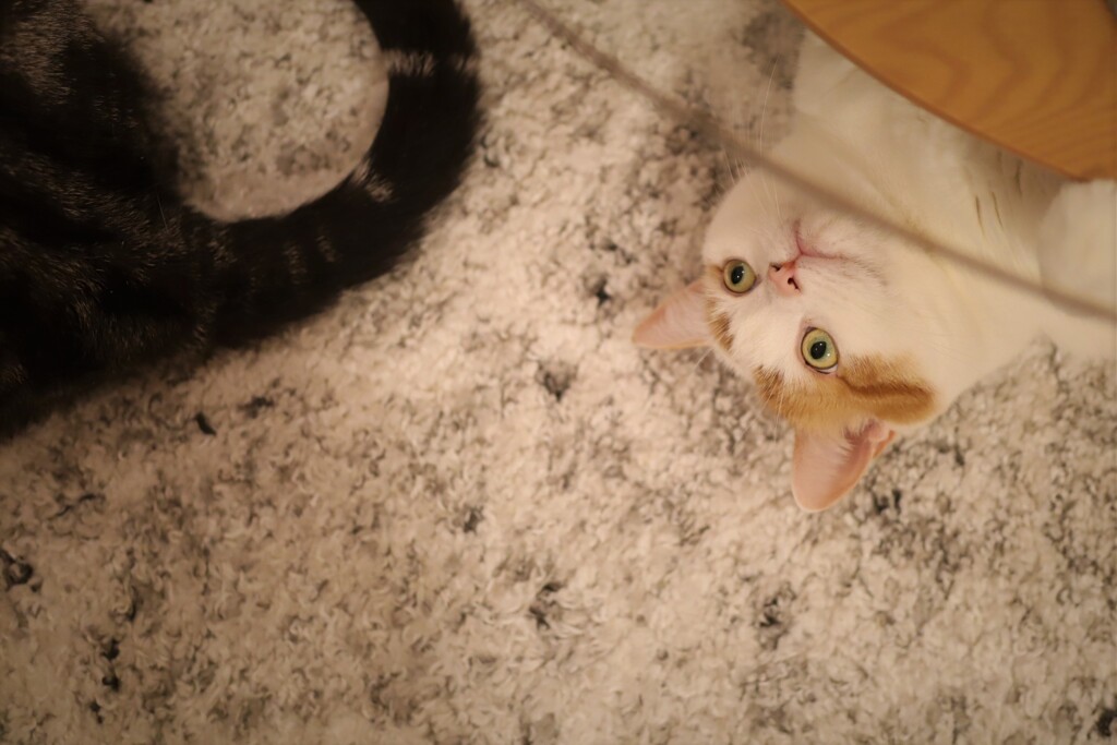 あ・そ・ぼ！①