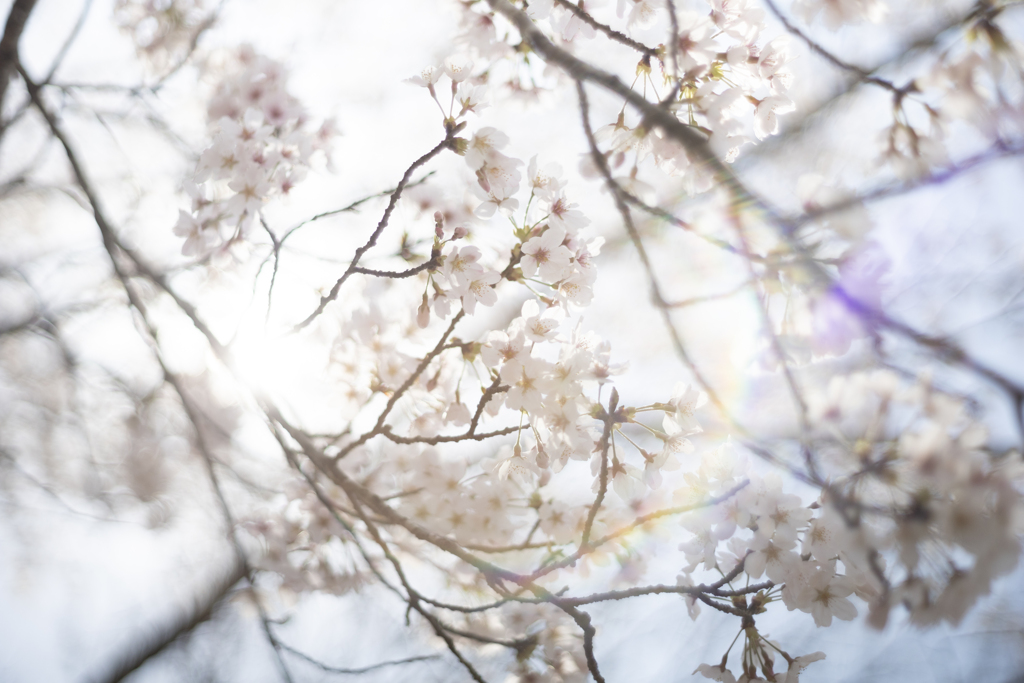 Reframing