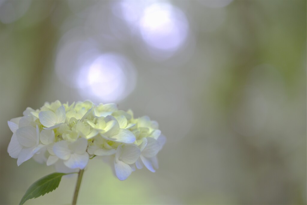 Luminous⋆*