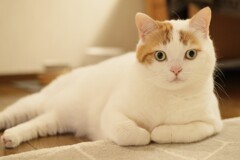 おつかれさま～。