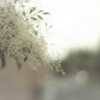 moist-air
