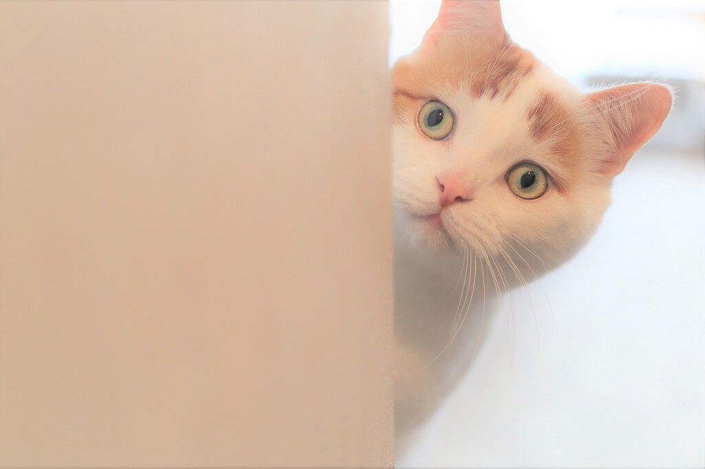 チラッ…^^