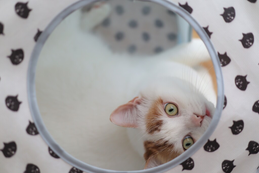 さがしたよ～～