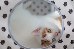 さがしたよ～～