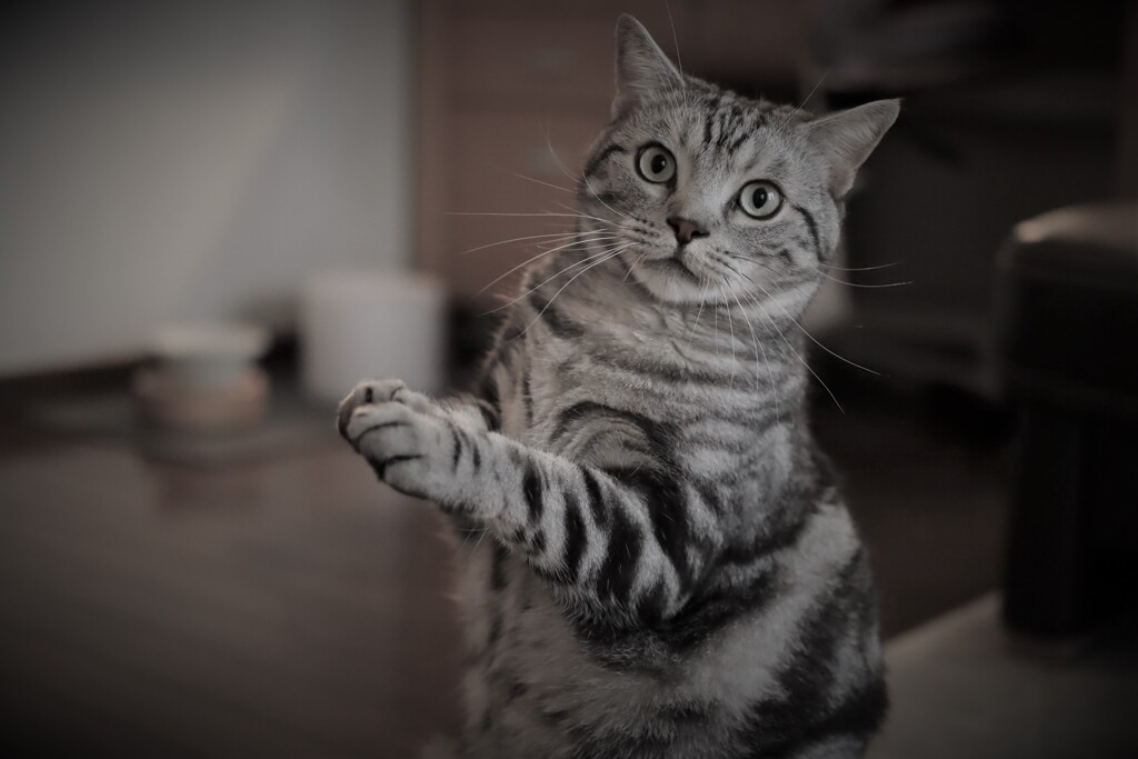 背筋のびるよぉー^^