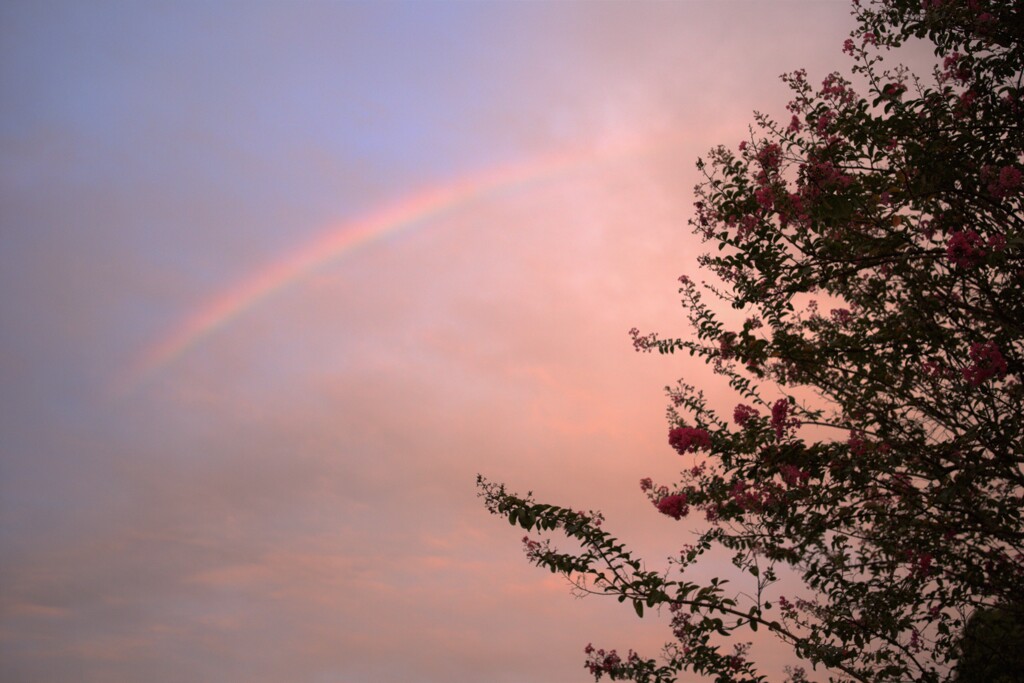 虹と夕焼け⋆