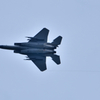 F15