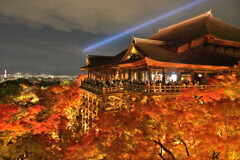 紅葉の清水寺