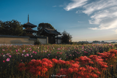 秋の法起寺