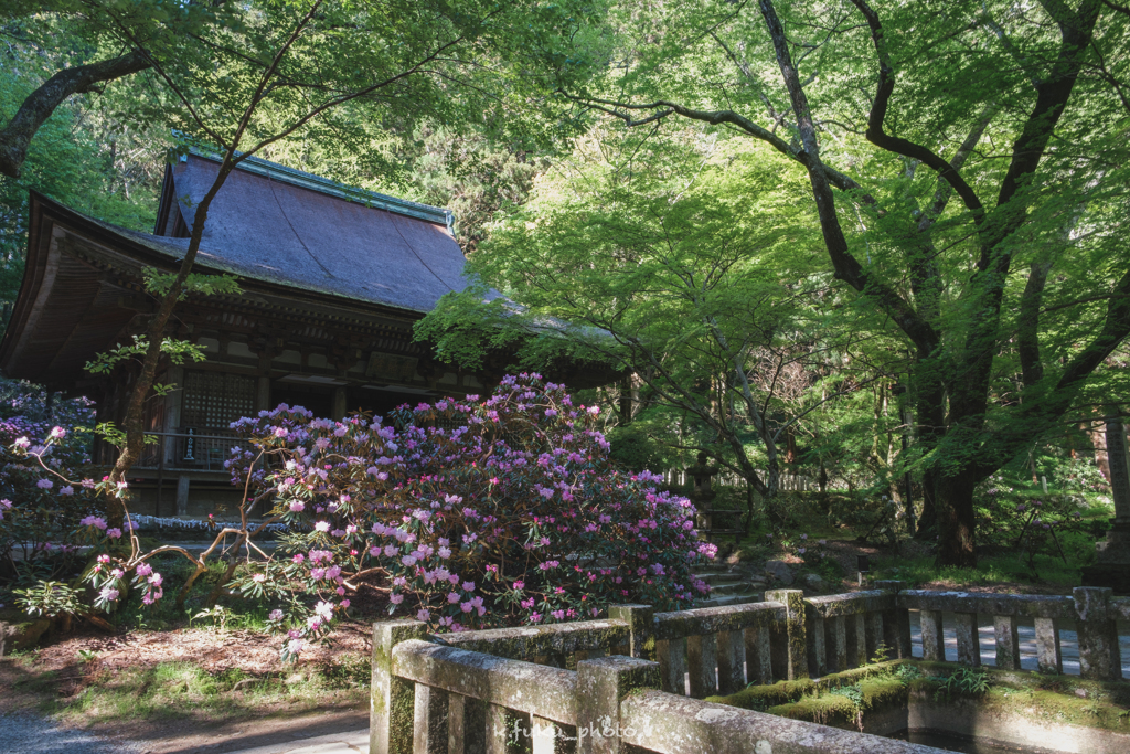 室生寺