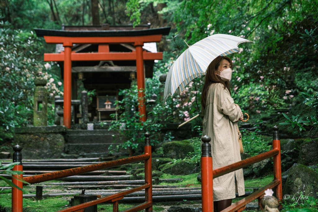 雨の日のお参り