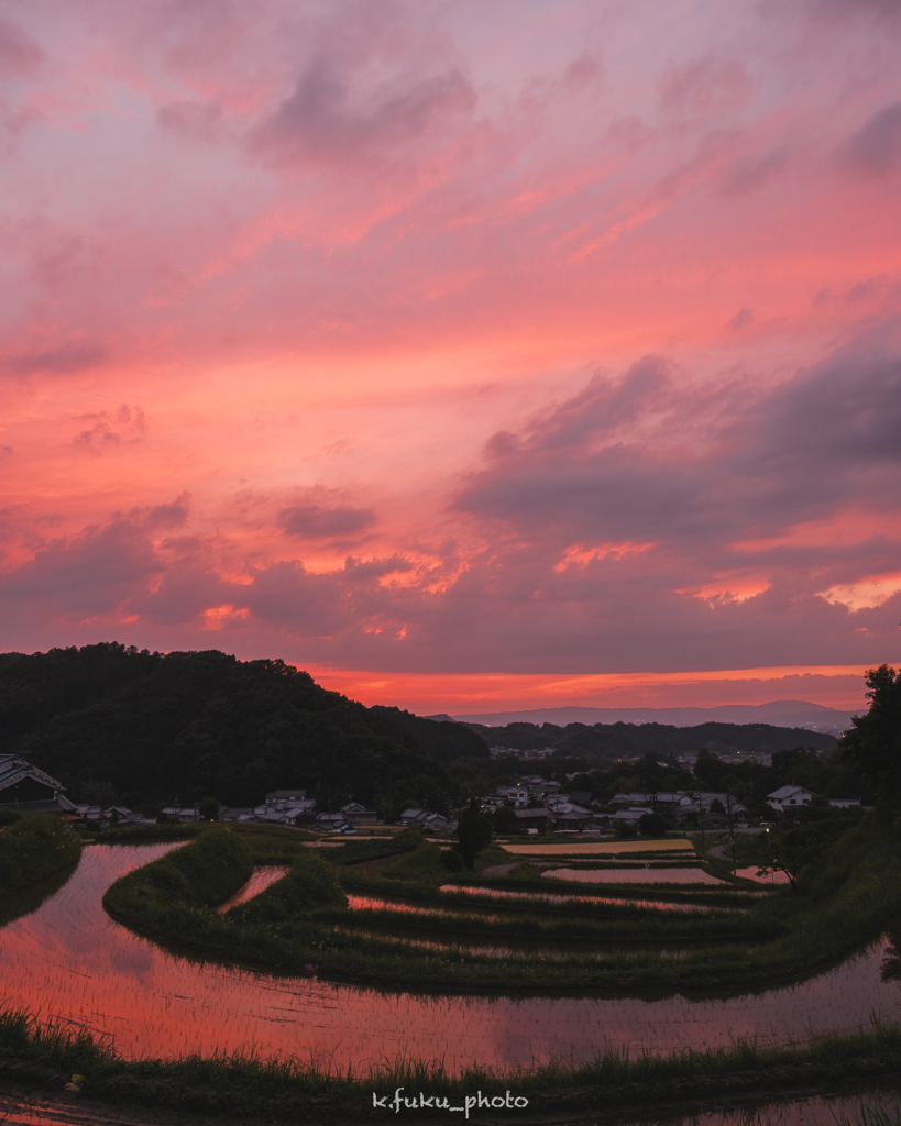 染まる棚田