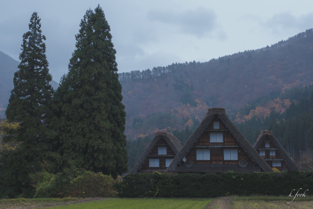 雨の白川郷