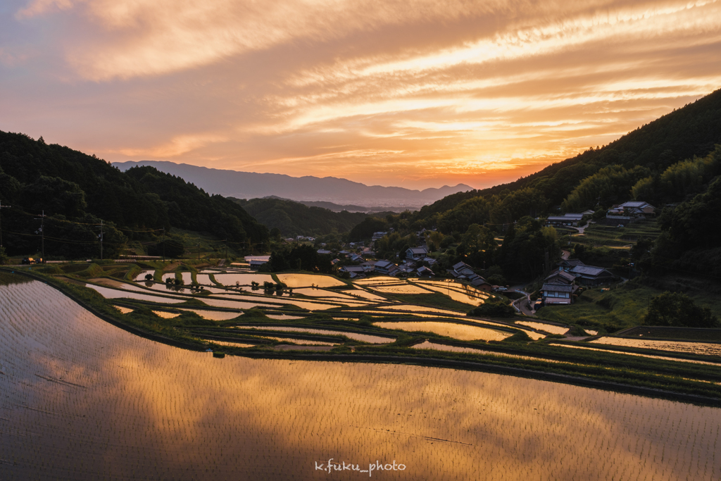 細川の棚田