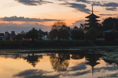 荒池から興福寺を望む