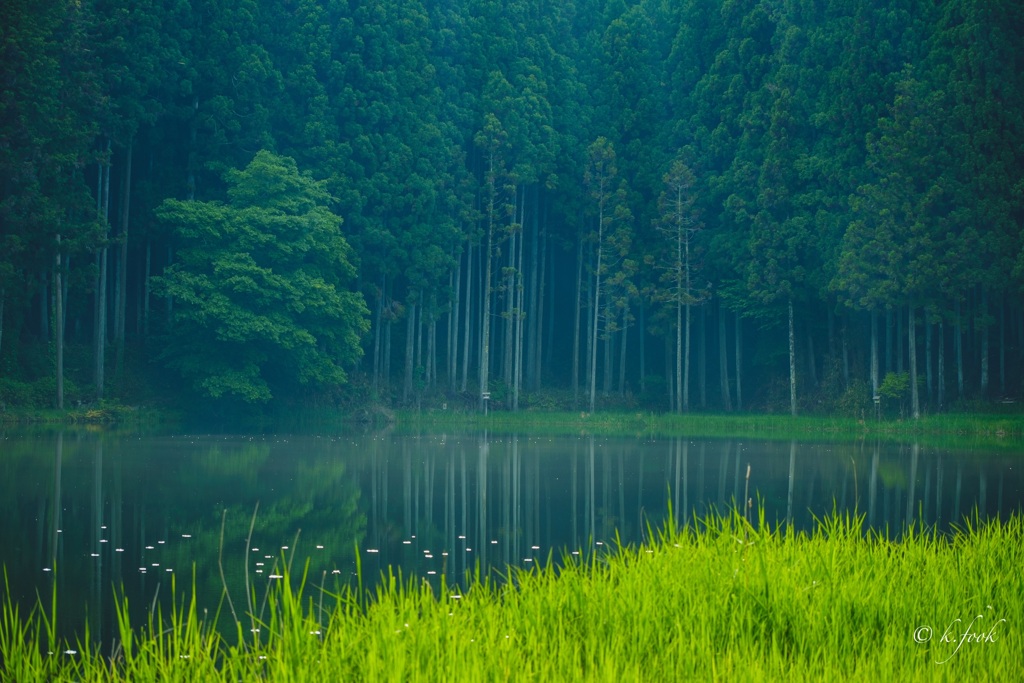 山奥の池