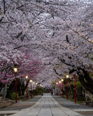 法華経寺