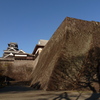 熊本城 二様の石垣