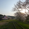 廃線と桜