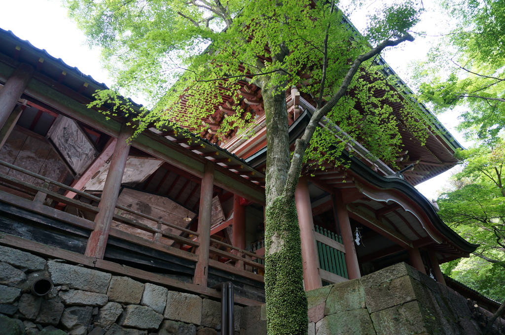 柞原八幡宮