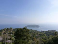 知林ヶ島　春