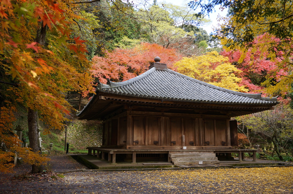 富貴寺　秋