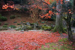 旧政所坊庭園