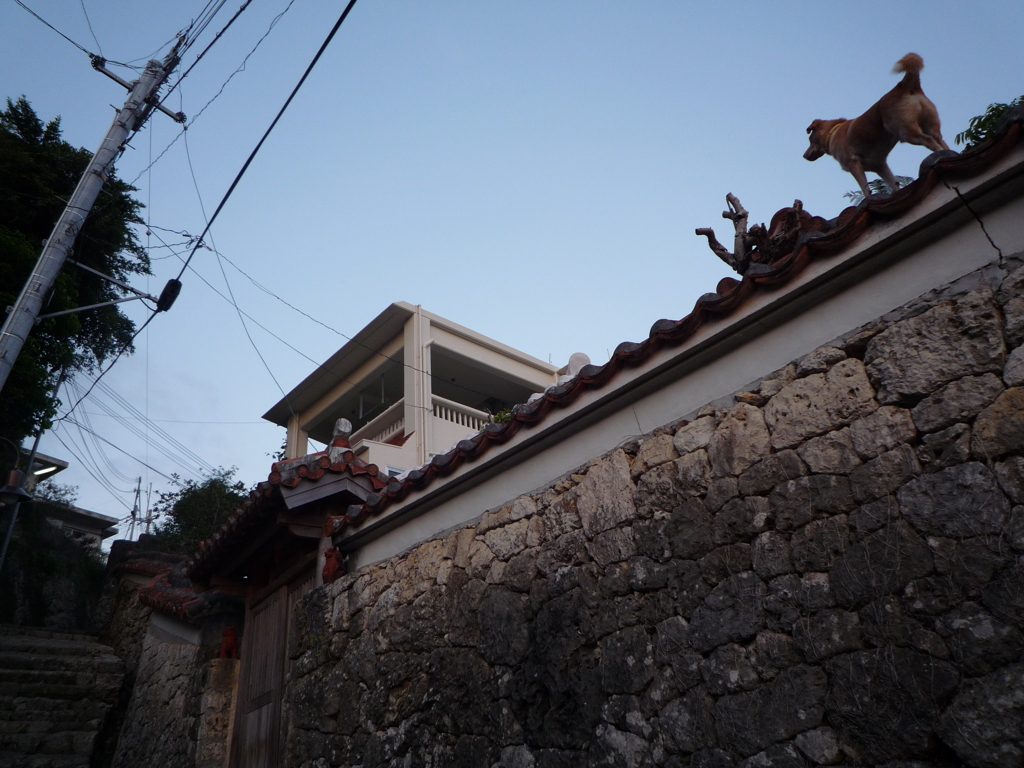 首里金城町石畳道